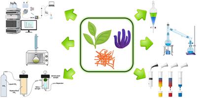 Natural Products’ Extraction and Isolation-Between Conventional and Modern Techniques